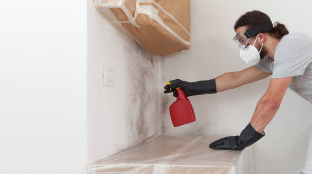 Professional Bathroom Mold Removal technician working in Willow Springs, IL