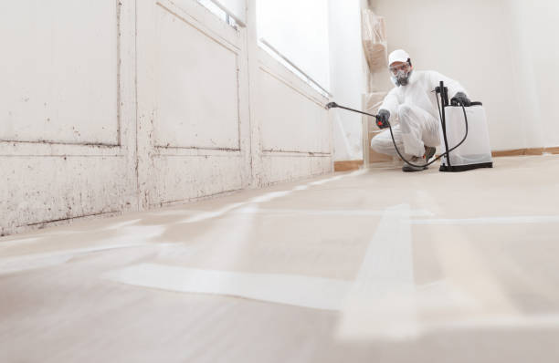 24/7 Emergency Bathroom Mold Removal experts in Willow Springs, IL